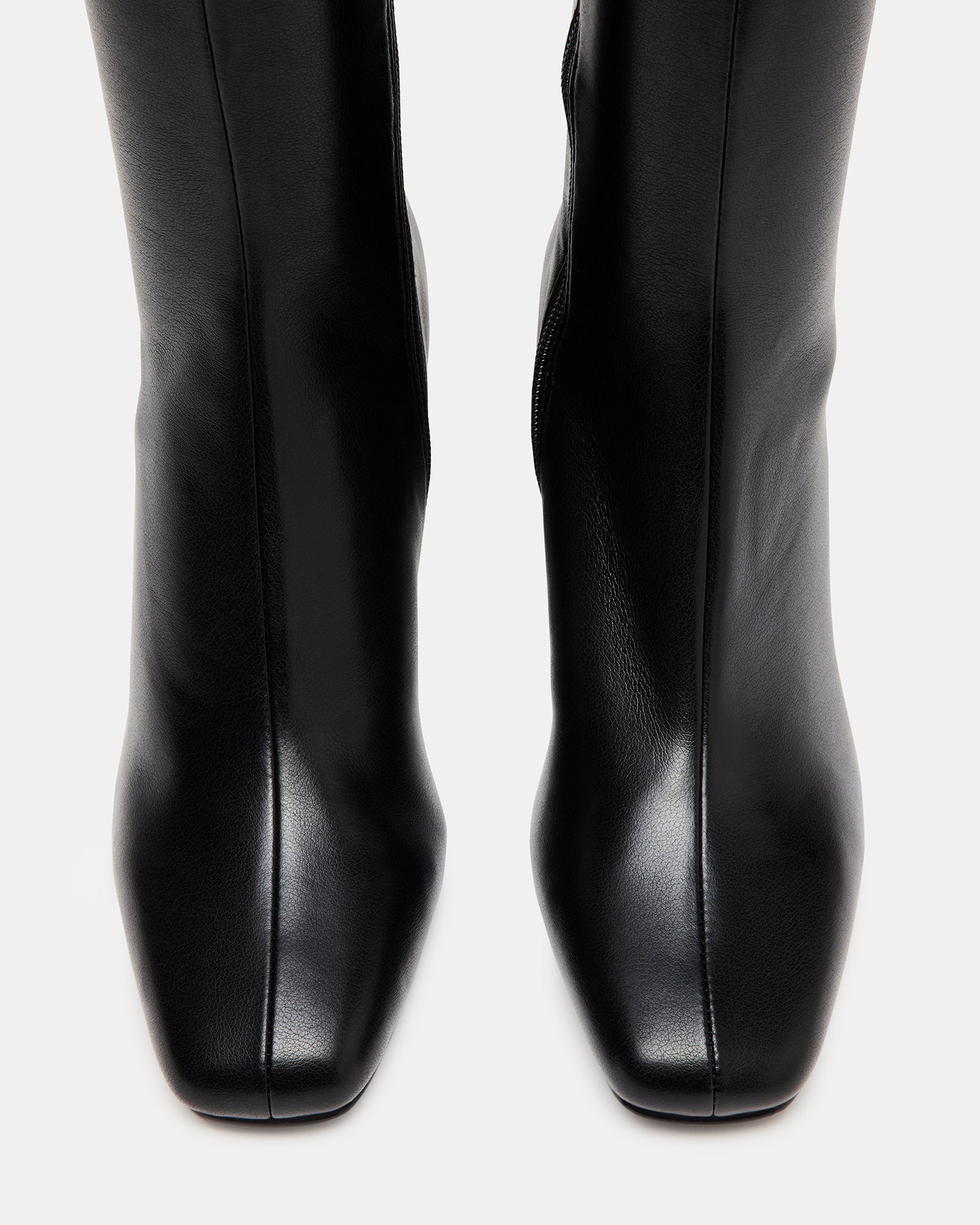 HOLLY BLACK - SM REBOOTED