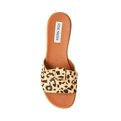VIVIEN LEOPARD - SM REBOOTED